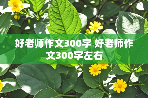 好老师作文300字 好老师作文300字左右