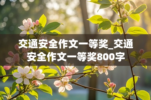 交通安全作文一等奖_交通安全作文一等奖800字