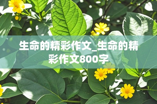 生命的精彩作文_生命的精彩作文800字