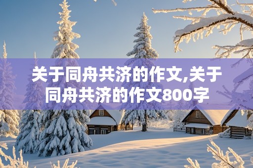 关于同舟共济的作文,关于同舟共济的作文800字