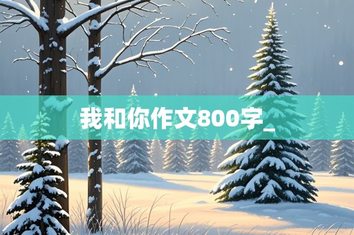 我和你作文800字_