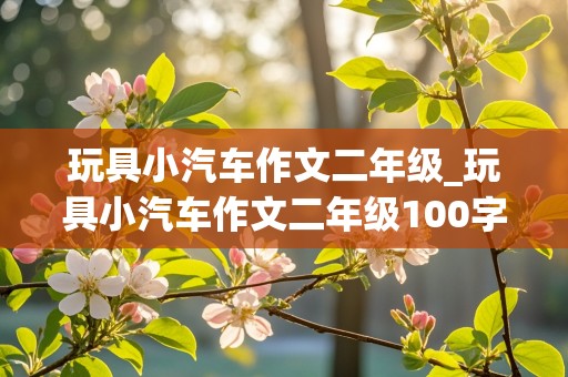 玩具小汽车作文二年级_玩具小汽车作文二年级100字