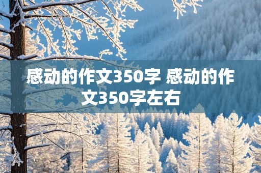 感动的作文350字 感动的作文350字左右