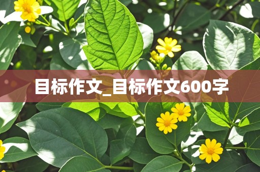 目标作文_目标作文600字