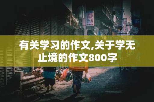 有关学习的作文,关于学无止境的作文800字