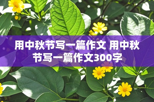 用中秋节写一篇作文 用中秋节写一篇作文300字