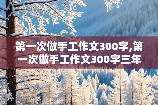 第一次做手工作文300字,第一次做手工作文300字三年级优秀作文