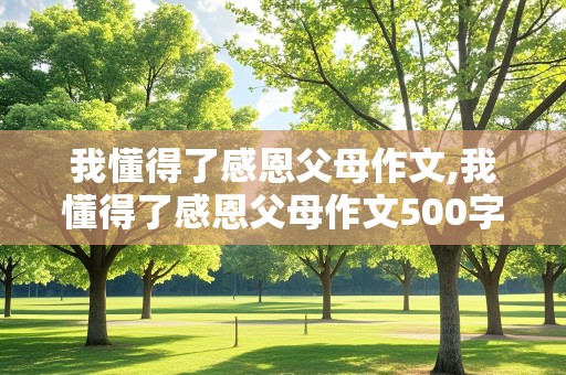 我懂得了感恩父母作文,我懂得了感恩父母作文500字