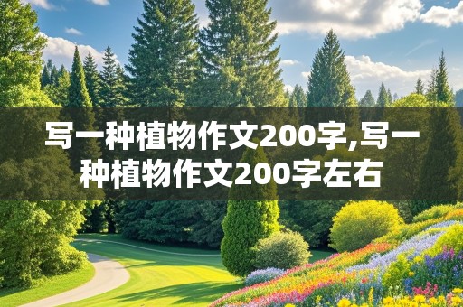 写一种植物作文200字,写一种植物作文200字左右