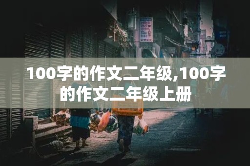 100字的作文二年级,100字的作文二年级上册