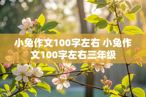 小兔作文100字左右 小兔作文100字左右三年级