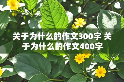 关于为什么的作文300字 关于为什么的作文400字