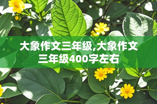 大象作文三年级,大象作文三年级400字左右