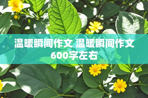 温暖瞬间作文 温暖瞬间作文600字左右