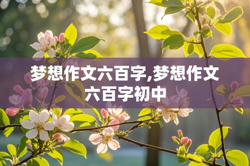 梦想作文六百字,梦想作文六百字初中