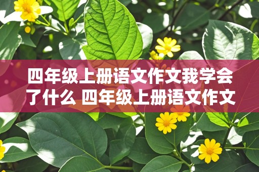 四年级上册语文作文我学会了什么 四年级上册语文作文我学会了什么400字