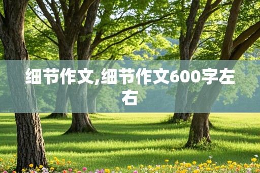 细节作文,细节作文600字左右