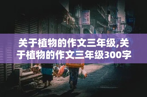 关于植物的作文三年级,关于植物的作文三年级300字左右