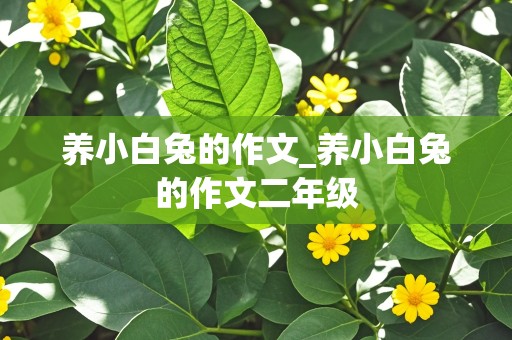 养小白兔的作文_养小白兔的作文二年级