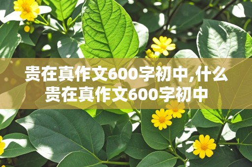 贵在真作文600字初中,什么贵在真作文600字初中