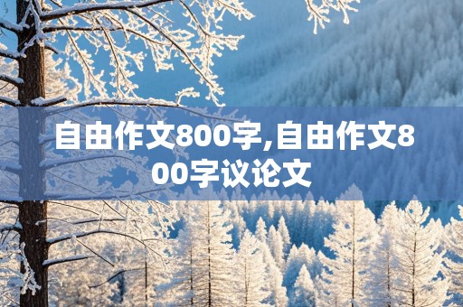 自由作文800字,自由作文800字议论文