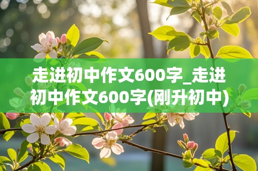 走进初中作文600字_走进初中作文600字(刚升初中)