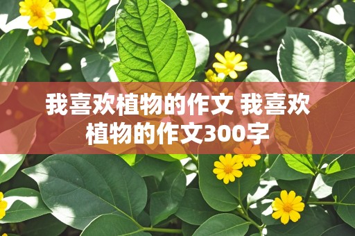 我喜欢植物的作文 我喜欢植物的作文300字