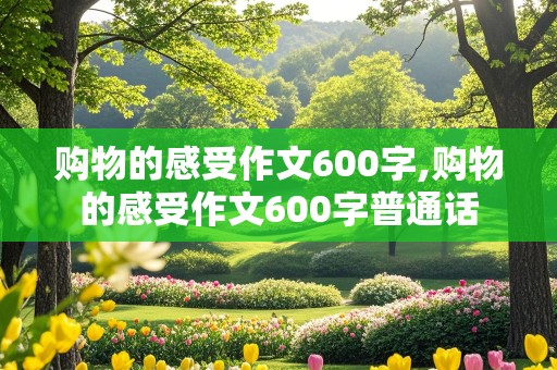 购物的感受作文600字,购物的感受作文600字普通话