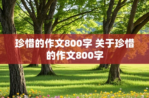 珍惜的作文800字 关于珍惜的作文800字