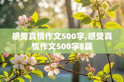 感受真情作文500字,感受真情作文500字8篇