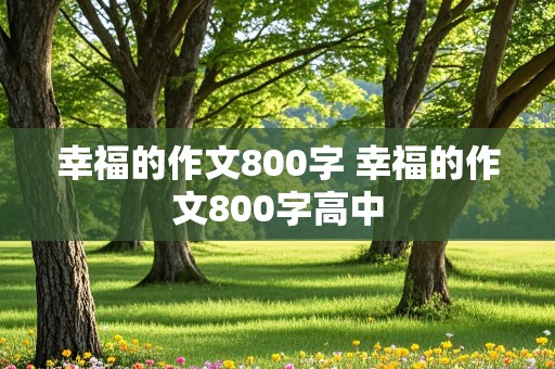 幸福的作文800字 幸福的作文800字高中