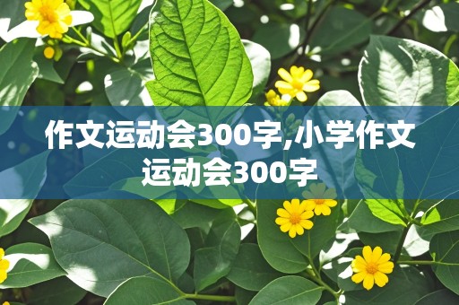 作文运动会300字,小学作文运动会300字