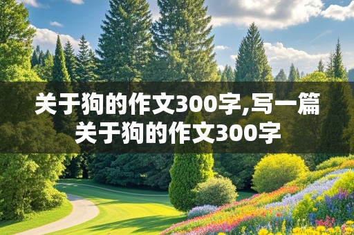 关于狗的作文300字,写一篇关于狗的作文300字