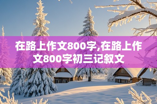 在路上作文800字,在路上作文800字初三记叙文