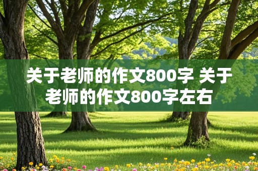 关于老师的作文800字 关于老师的作文800字左右