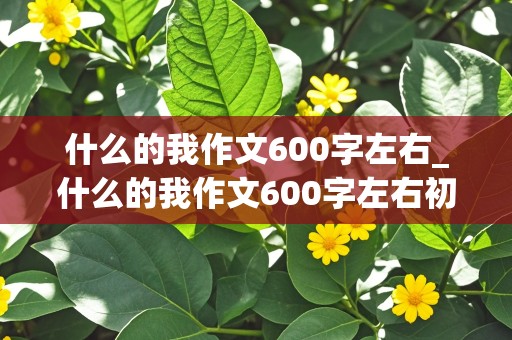 什么的我作文600字左右_什么的我作文600字左右初一