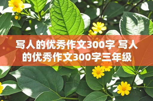 写人的优秀作文300字 写人的优秀作文300字三年级