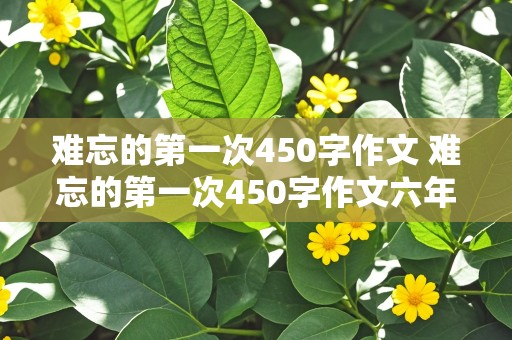 难忘的第一次450字作文 难忘的第一次450字作文六年级上册