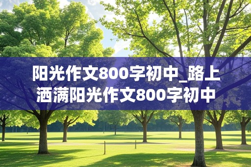 阳光作文800字初中_路上洒满阳光作文800字初中