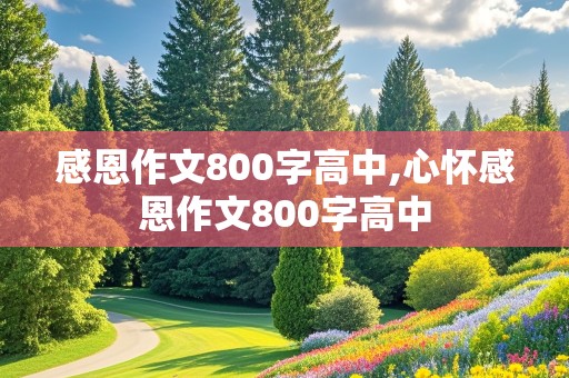 感恩作文800字高中,心怀感恩作文800字高中