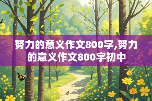 努力的意义作文800字,努力的意义作文800字初中