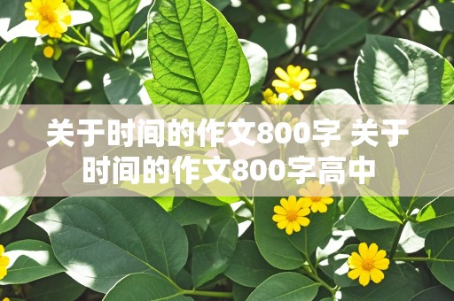 关于时间的作文800字 关于时间的作文800字高中