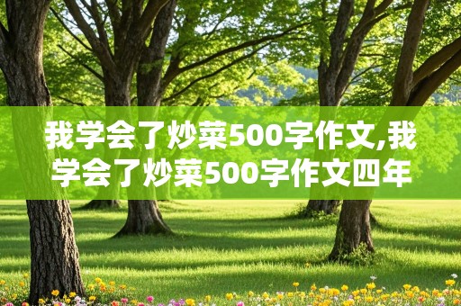 我学会了炒菜500字作文,我学会了炒菜500字作文四年级下册