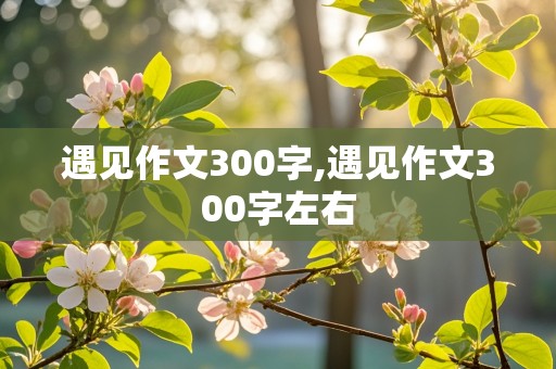 遇见作文300字,遇见作文300字左右