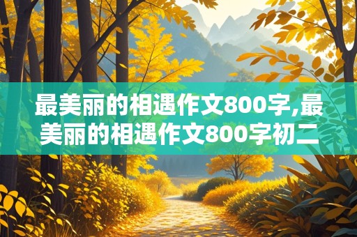 最美丽的相遇作文800字,最美丽的相遇作文800字初二