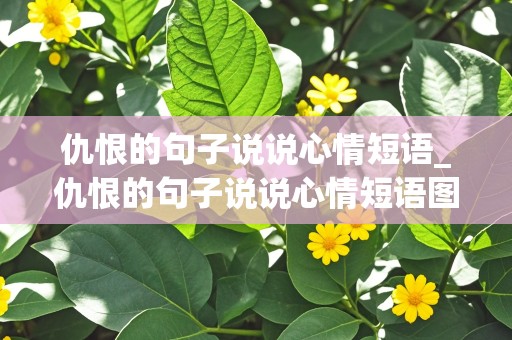 仇恨的句子说说心情短语_仇恨的句子说说心情短语图片