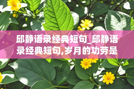 邱静语录经典短句_邱静语录经典短句,岁月的功劳是什么