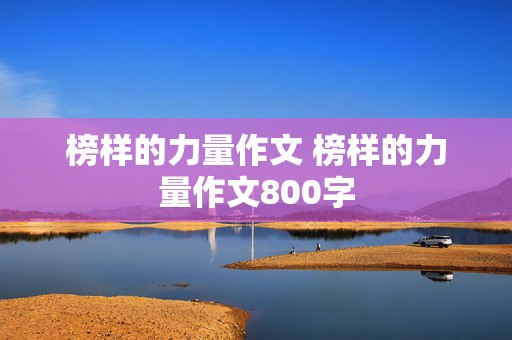 榜样的力量作文 榜样的力量作文800字