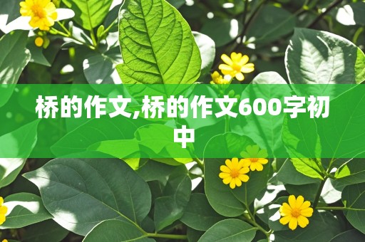 桥的作文,桥的作文600字初中