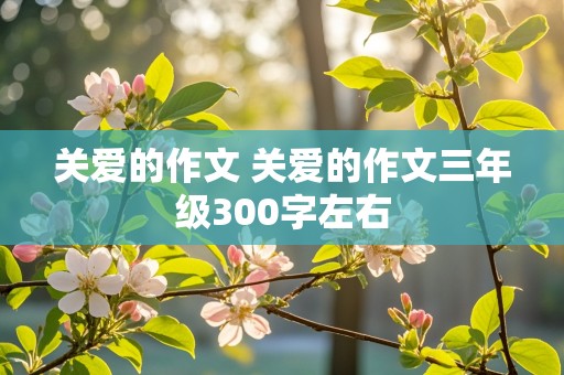 关爱的作文 关爱的作文三年级300字左右